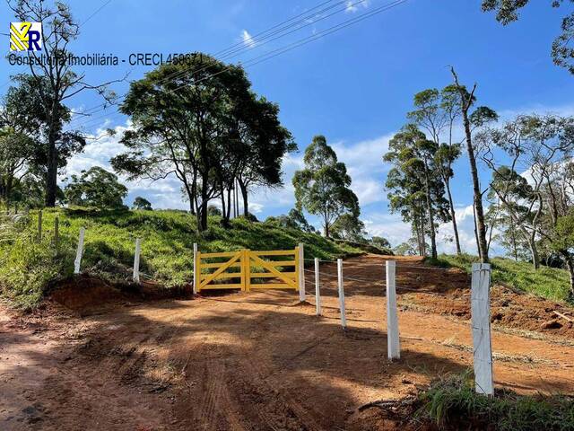 #ST 0367 - Sítio para Venda em Pedra Bela - SP