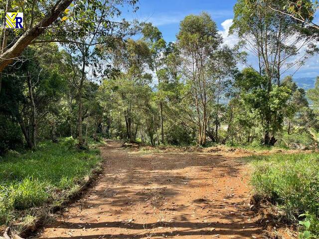 #ST 0367 - Sítio para Venda em Pedra Bela - SP - 3