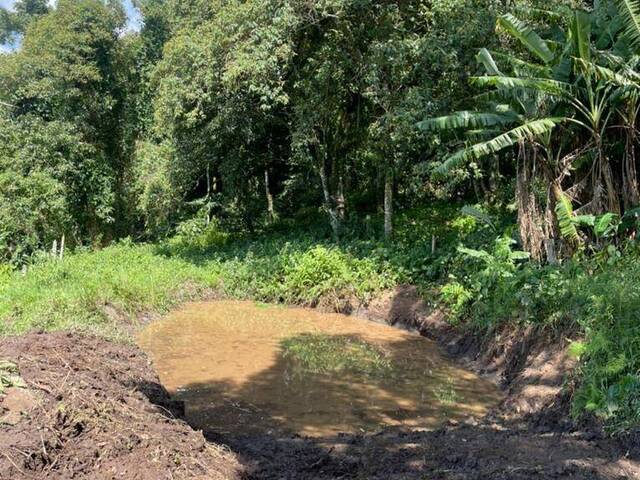 #ST 0367 - Sítio para Venda em Pedra Bela - SP - 2