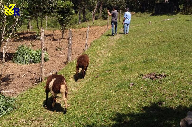 Sítio, 5 quartos, 2 hectares - Foto 9
