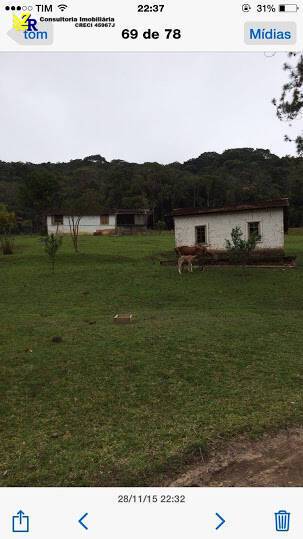 Sítio, 5 quartos, 2 hectares - Foto 10