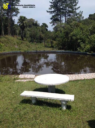 Sítio, 5 quartos, 2 hectares - Foto 7